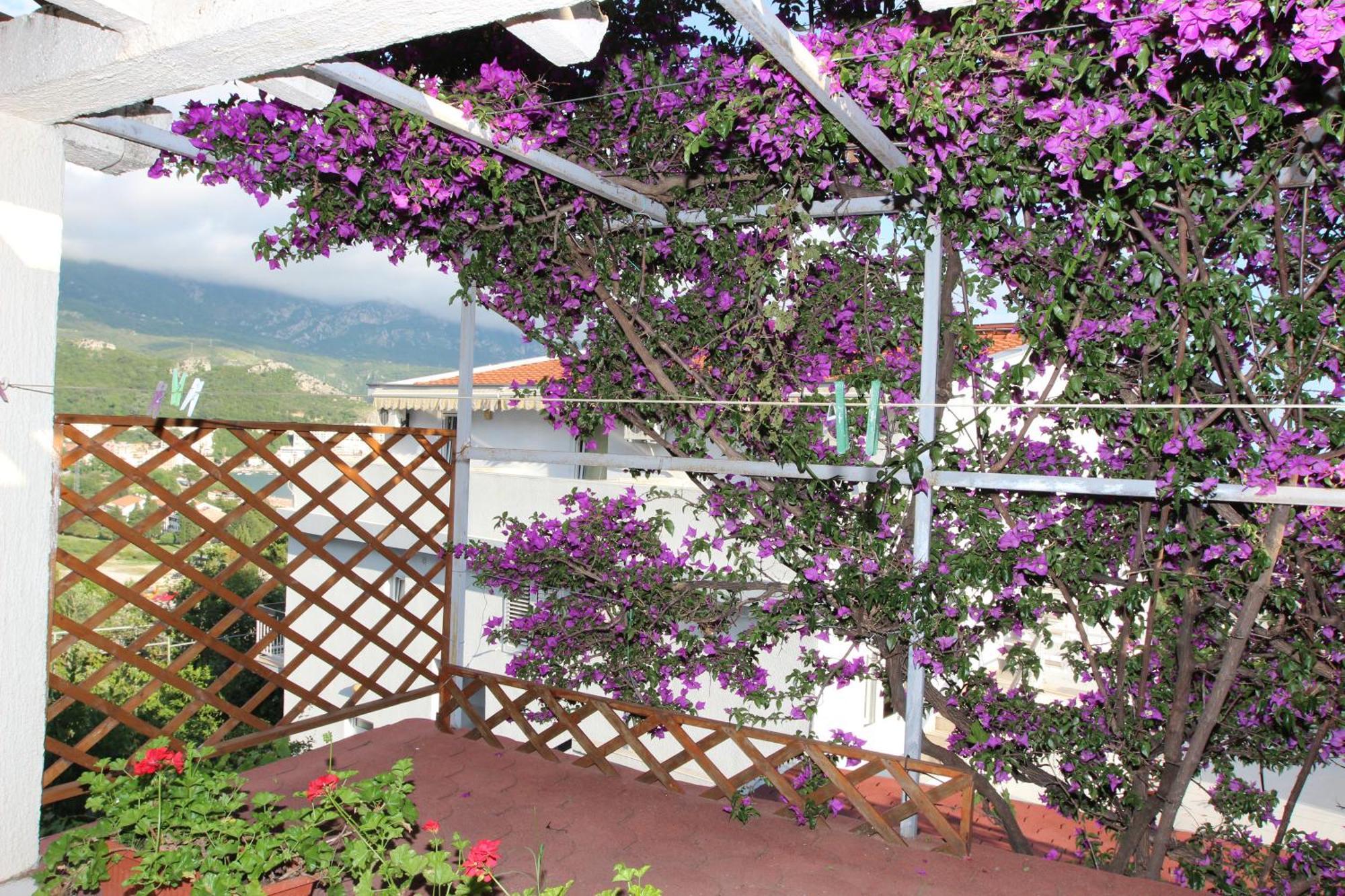 Apartment Sandra Budva Kamer foto